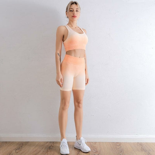 Conjunto Desportivo Feminino Gradiente