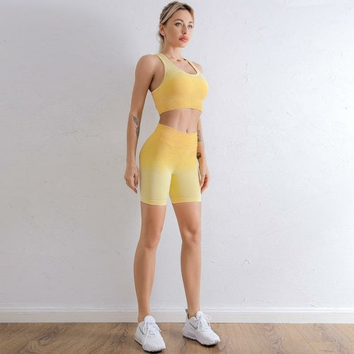 Conjunto Desportivo Feminino Gradiente
