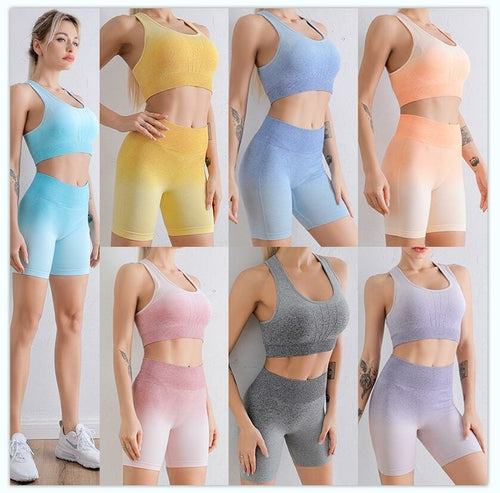 Conjunto Desportivo Feminino Gradiente